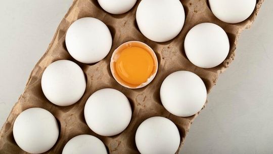 Netto Polska zrealizowało w pełni zobowiązanie dotyczące wycofania jaj z chowu klatkowego