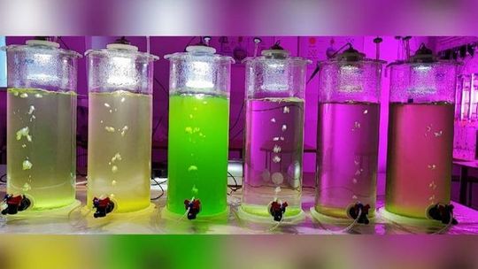 mikroglony - instalacja