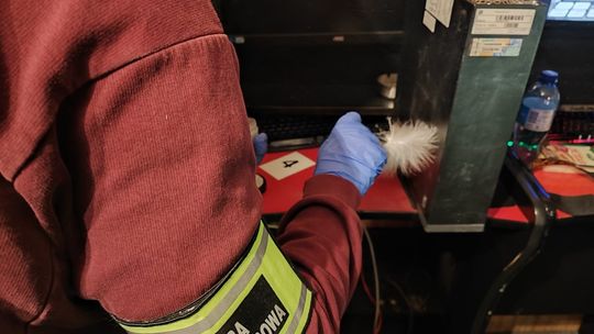 Nielegalny punkt hazardowy w Szczecinie zamknięty przez KAS