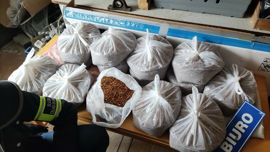 Nielegalny tytoń zatrzymany u mieszkańców Zachodniopomorskiego