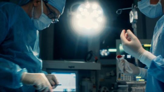 Niezastąpieni – wzruszający film o codziennej pracy lekarzy weterynarii