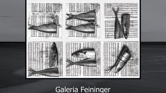 Nowa wystawa „Świątynia i morze.” Zbigniew Bajek – Zbigniew Szot