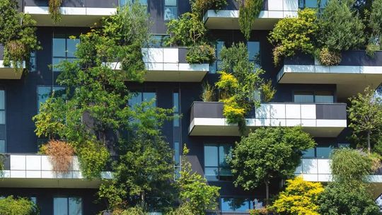 Nowe życie budynków – jakie okna i dlaczego warto wybrać do renowacji?