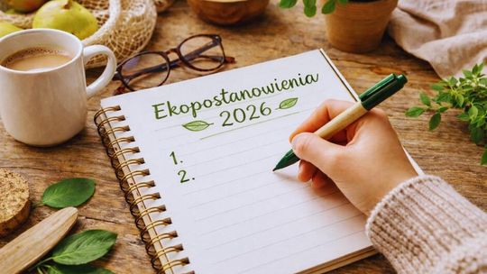 Noworoczne ekopostanowienia. Zmiana to proces, a nie jednorazowa decyzja