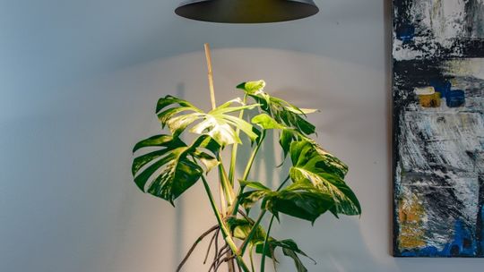 W lampach z kolekcji ZEN źródło światła jest głęboko ukryte, przez co kąt padania odpowiada wyłącznie szerokości klosza