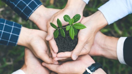 Nowy Rok w harmonii z naturą – ekologiczne postanowienia na 2025