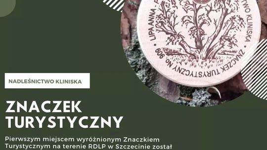 O lesie w internecie:  Leśnicy zapraszają 