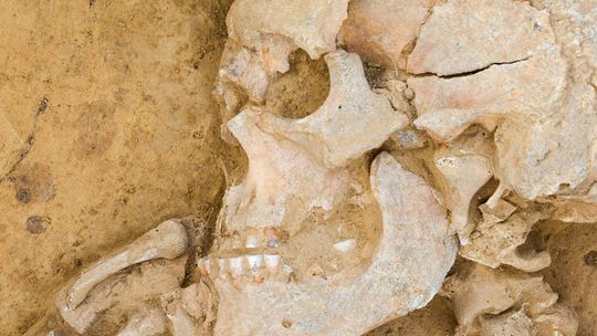 O tajemnicach archeologii w Kornicach i na Zamku Piastowskim