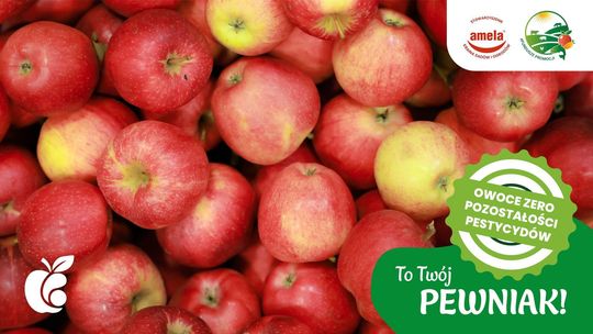 Od degustacji do świadomego wyboru. Kampania „To Twój Pewniak!” bliżej konsumentów