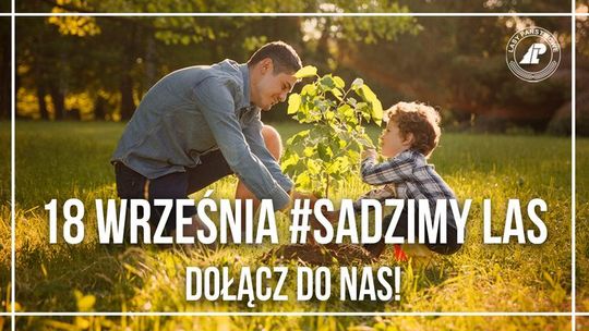 Ogólnopolska akcja sadzenia drzew #sadziMY