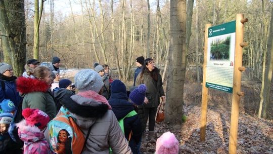 „Oko w oko z trocią” – ferie w lesie i ze ścieżką edukacyjną