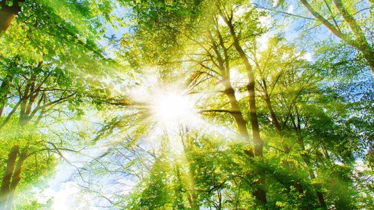 Oszczędność i zrównoważony rozwój – przykład idzie z Thermaflex