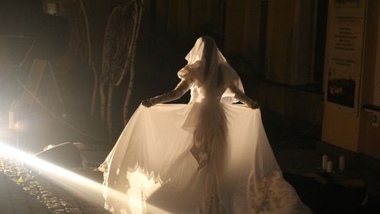 Pałacowa Noc w Muzeum