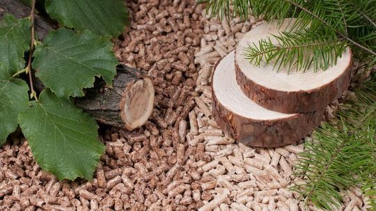 Pellet nadal bezpiecznym i stabilnym paliwem: sezonowe wahania nie zmieniają jego roli na rynku