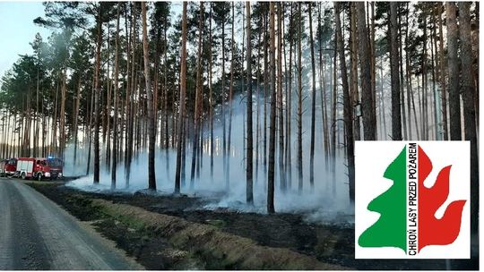 Pełne ręce roboty leśników i strażaków 