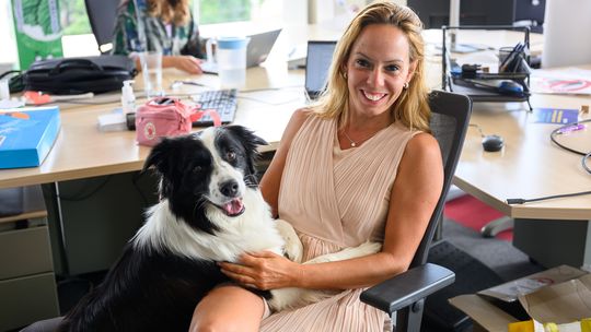 Pies w pracy - jak czworonożny przyjaciel wpływa na nasze samopoczucie?