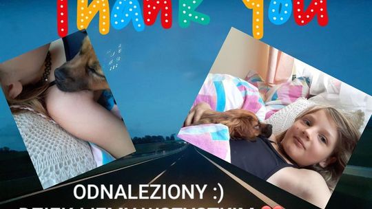 Piesek odnaleziony i przekazany rodzinie – dziękujemy za zaangażowanie i pomoc w odnalezieniu Hery