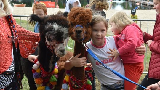 Piknik Rodzinny na Kąpielisku Miejskim "Stawek" w Gryficach