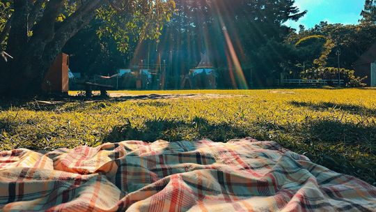 Pikniki wracają do łask. Jak przygotować kosz piknikowy i nie popełnić błędów, które mogą skończyć się mandatem?