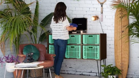 Poczuj miętę do… mięty