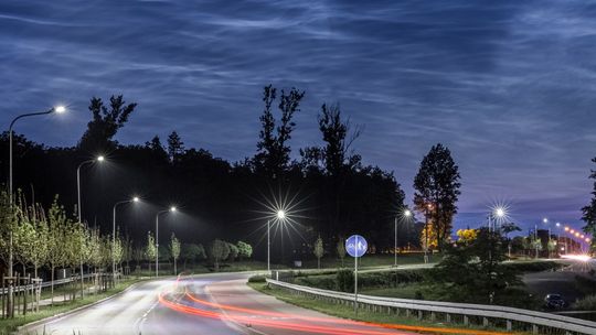 Pod naszym patronatem:  Seminarium “Zielone miasto”