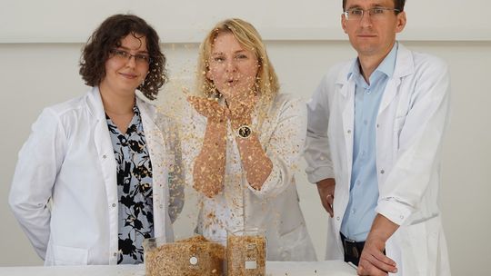 podpałka do grilla z łusek kawy opatentowana na ZUT