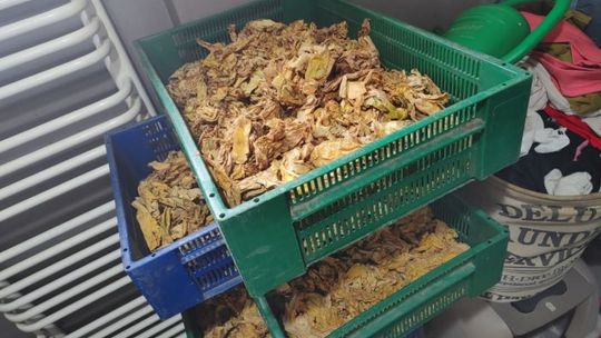 Ponad 21 kg nielegalnego tytoniu zatrzymała KAS w Zachodniopomorskiem