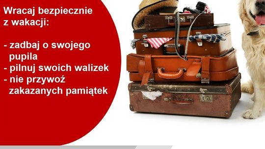 Poradnik turystyczny – wakacyjny must have