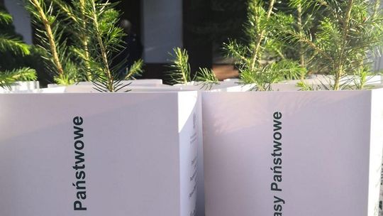 Posadź drzewo z Prezydentem RP i leśnikami