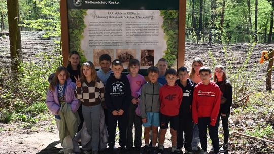 Posadzenie 1000 dębów z okazji 1000-lecia koronacji Króla Polski Bolesława Chrobrego!