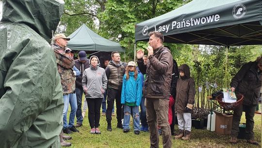 Powstał nowy sad na terenie Nadleśnictwa Gryfino
