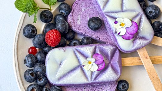 Proszki i grysy z owoców i warzyw liofilizowanych KRESTO – naturalny kolor  w Twojej kuchni