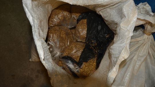 Prywatny garaż jak nielegalna hurtowania papierosów i alkoholu 