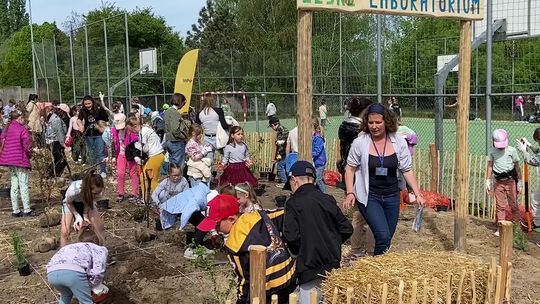 Przebodźcowani uczniowie? Szkoła posadziła im las