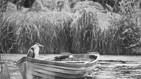 Przedsiębiorcy z Zalewu i Odry potrzebują wsparcia Stanowisko Wojewódzkiej Rady Rynku Pracy w Szczecinie