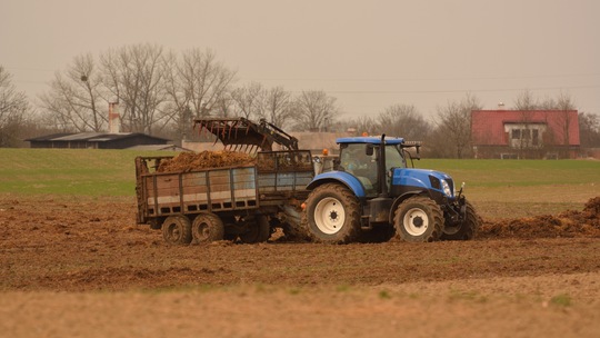 Przygotowanie sianokiszonki