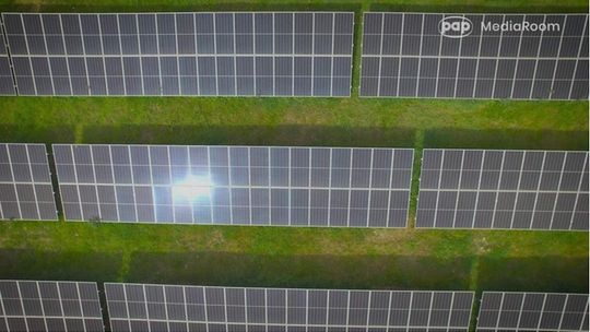 PSEW 2026: wiatr może obniżyć rachunki za prąd, ale trzeba usunąć bariery dla OZE