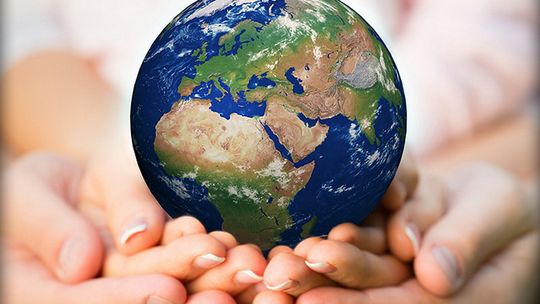 Ratujmy pszczoły – nadzieję naszej ziemi