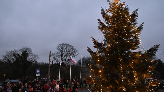 Rozświetlenie choinki w Płotach