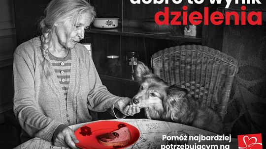 Ruszyła 22. edycja Szlachetnej Paczki! Najbardziej potrzebujące rodziny czekają na swoich darczyńców