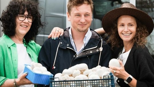 Ruszyła kampania „Europejskie pieczarki, ukryty skarb”