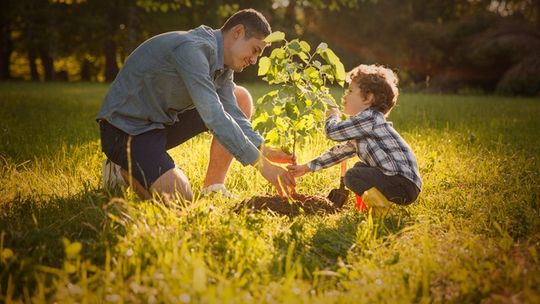 #sadziMY las z prezydentem Andrzejem Dudą