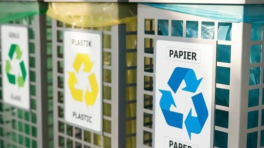 zdjęcie ilustracyjne - pojemniki do segregowania odpadów