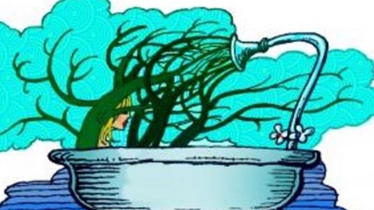 Shinrin-yoku, czyli wykąp się lesie