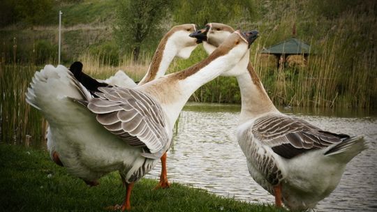 Składowanie odpadów nie musi być niebezpieczne. Instalacje nowej generacji w pełni chronią środowisko