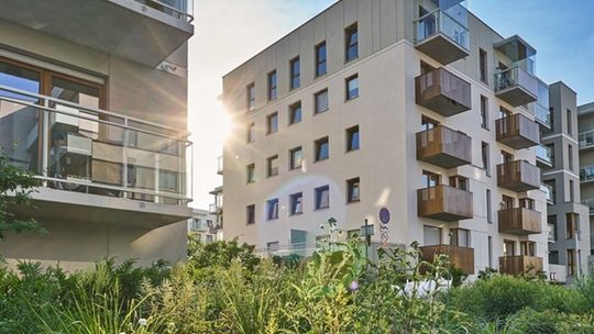 Skrawek trawy to nie wszystko. Jakich mieszkań szukają dziś Polacy?