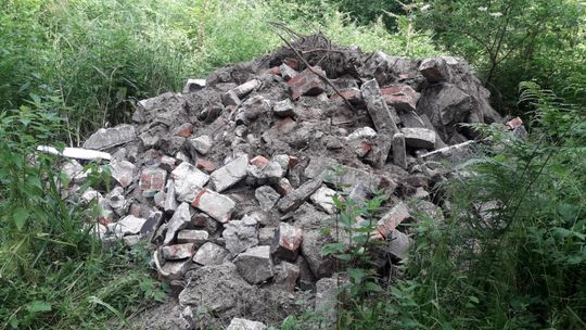 Śmieci z lasu trafiły na właściwe miejsce