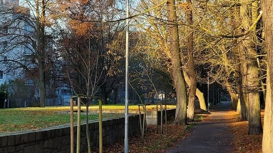 Spacerowa w Kołobrzegu dla spacerowiczów