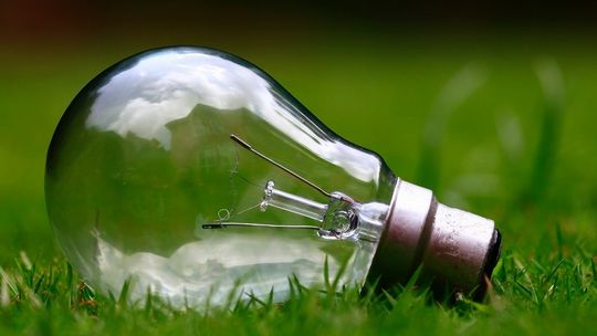 Sposób na kryzys i falę upadłości? Co trzecia polska firma chce inwestować w zieloną energię