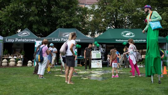 Spotkaj się z leśnikiem